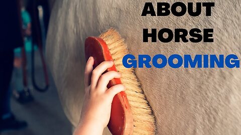 How to Groom a Horse