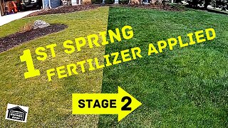 LAWN FERTILIZING PROGRAM STAGE 2 - 1st Spring Lawn Fertilizer Application With PGF Complete.