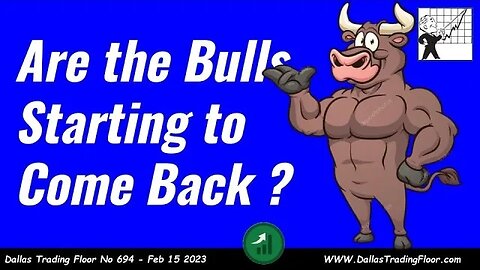 Are The Bulls Starting to Come Back ?