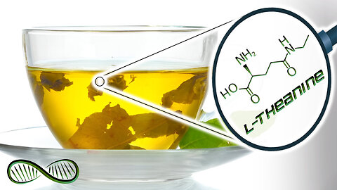 L-Theanine 🍵 The Nootropic ingredient of green tea that delivers relaxation without sedation