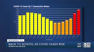 Public health experts see signs of a third COVID-19 wave in Arizona