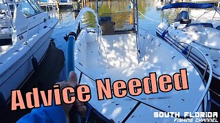Advice Needed | Water on deck issue & Transducer growth