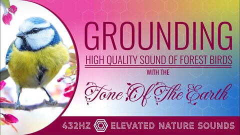 Grounding With The Tone Of The Earth 432Hz Forest Birds Elevated Ambience Sound Earth Vibrations
