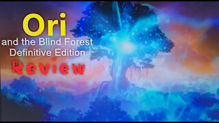 Ori and the Blind Forest Definitive Edition Review PC