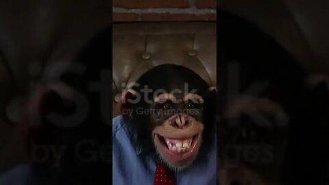 "Hilarious Monkey Crazy Office Boss Fooling Around | Funny Pranks and Shenanigans"