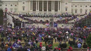 Two Coloradans among dozens arrested during election protests in Washington DC