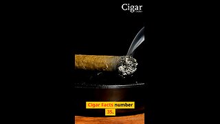 Ever wondered about the history of cigarillos Cigars? Cigar Facts #35 #cigarhistory #cigarfinder