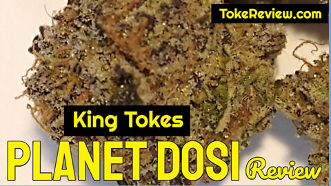 King Toke's Review of the Planet Dosi Marijuana Strain Grown By Re Up Farms