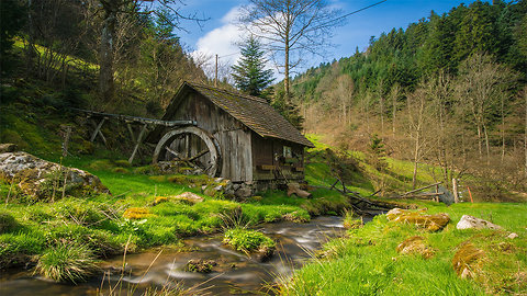 Top 10 Black Forest Traditions