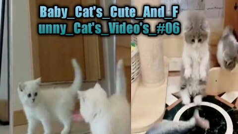 Baby_Cat's_Cute_And_Funny_Cat's_Video's_#06