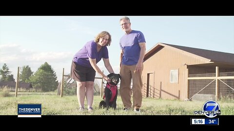 Rocky Mountain Lab Rescue just one countless nonprofits benefiting from Colorado Gives Day