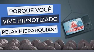 Por que você vive hipnotizado pelas hierarquias?