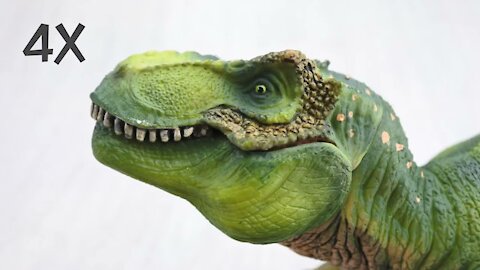 Best denausor |Fun & Educational | Dinosaurs For Kids | T-REX FACTS!