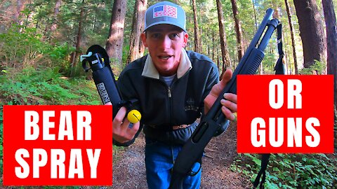 What is Better Bear Spray or Guns