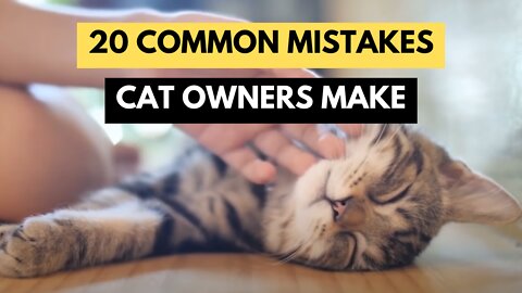 20 Common Mistakes You Should Know What Cat Owners Make