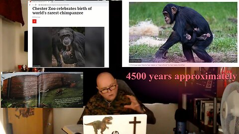 Determining Chimp Sex No Problem, Determining Human Sex Big Problem.