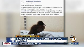 San Diego Wildlife Center closing its doors for good