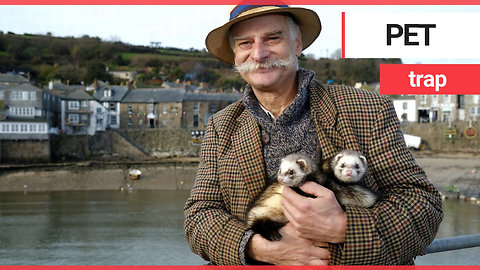 Man banned from pub for dining with pet ferrets