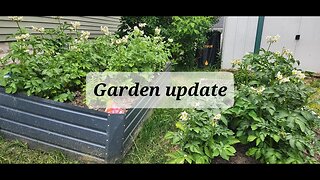 Garden update