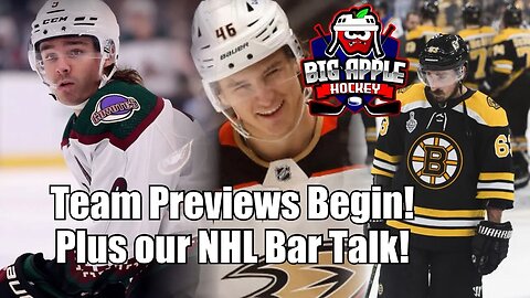 Team Previews: Coyotes | Ducks | Bruins | NHL Bar Talk