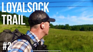 Loyalsock Trail Thru Hike 2022 Part 2 -Mild Weather and Meadows