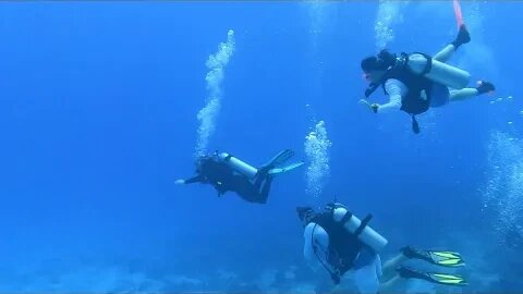 Cozumel Dive 11 Yucab to Tormentos