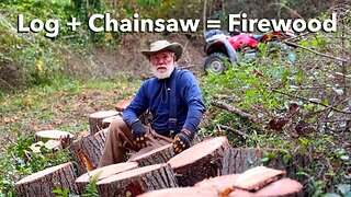 Breaking Down Large Log with Chainsaw