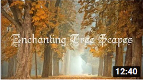 07 - Enchanting Tree Scapes! Earth and Arbor Day BONUS: Highlighting favorite trees at 05:39 mark!