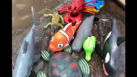 Sea animal toys