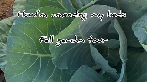November 10th fall garden tour With some recommended amendments ￼#Gardening