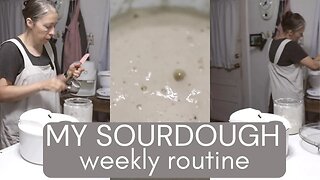 A week using my SOURDOUGH STARTER | How I ACTUALLY use my STARTER