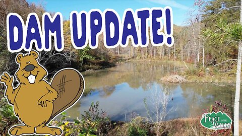 Beaver Dam Update - E 149