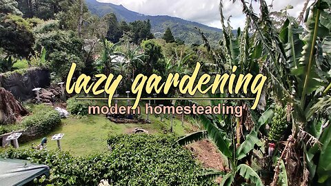 Welcome to our Edible Yard - Modern Homesteading