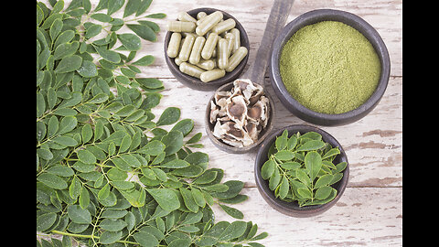 Moringa: A marvelous, miraculous tree!