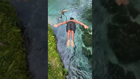 Watch the Road Dive into Spanish Bridge #shortsvideo #shortsfeed #jamaica #nature #short #shortviral