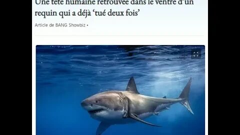 Une tête humaine retrouvée dans le ventre d’un requin qui a déjà ‘tué deux fois’