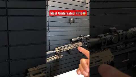 Most UnderRated Rifle😱