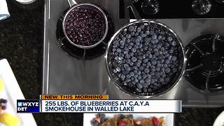 Blueberry Compote with CAYA Smokehouse Grill