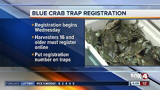 Recreational blue crab traps must be registered beginning January 1st