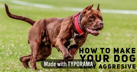 How To Make Your Dog Very Aggresive With Few Simple Tips