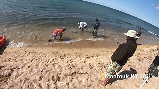 Shark Fishing Montauk NY!!! CRAZY STINGRAY!!!