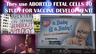 Body Parts from Abortions Used to study Vaccines