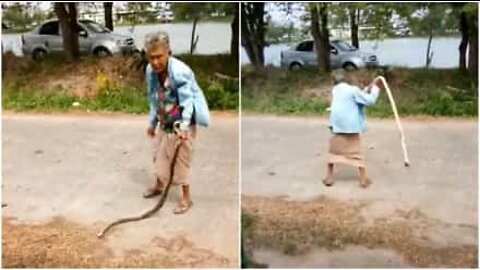 Mummo tappaa käärmeen paljain käsin