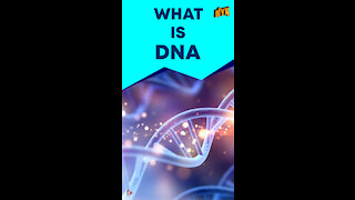 What Is DNA ? *