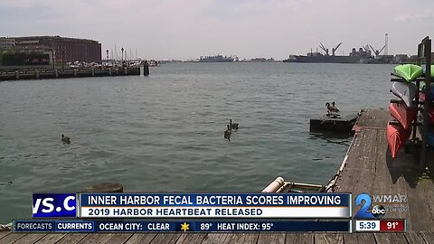 Baltimore Inner Harbor fecal bacteria scores improve for second year in a row