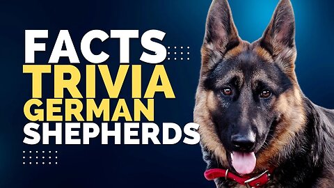 2023 25 FACTS & TRIVIA. German Shepherd