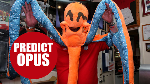 Pub landlord dresses as octopus each morning and predicts day's World Cup results