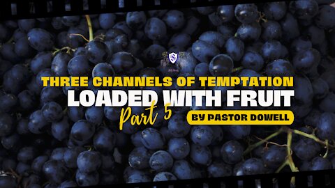 Three Channels Of Temptation Part 5 || Loaded With Fruit