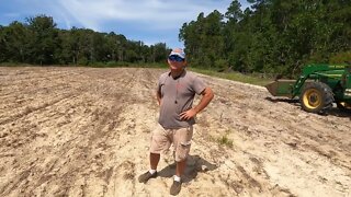 Bad Luck with summer food plots