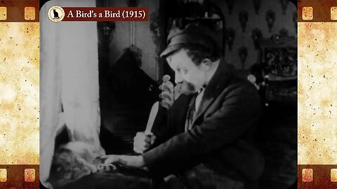 A Bird's a Bird (1915) 🐱 Cat Movies 🎥🐈